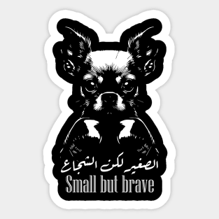 Small But Brave: Chihuahua Boxing Champion Sticker